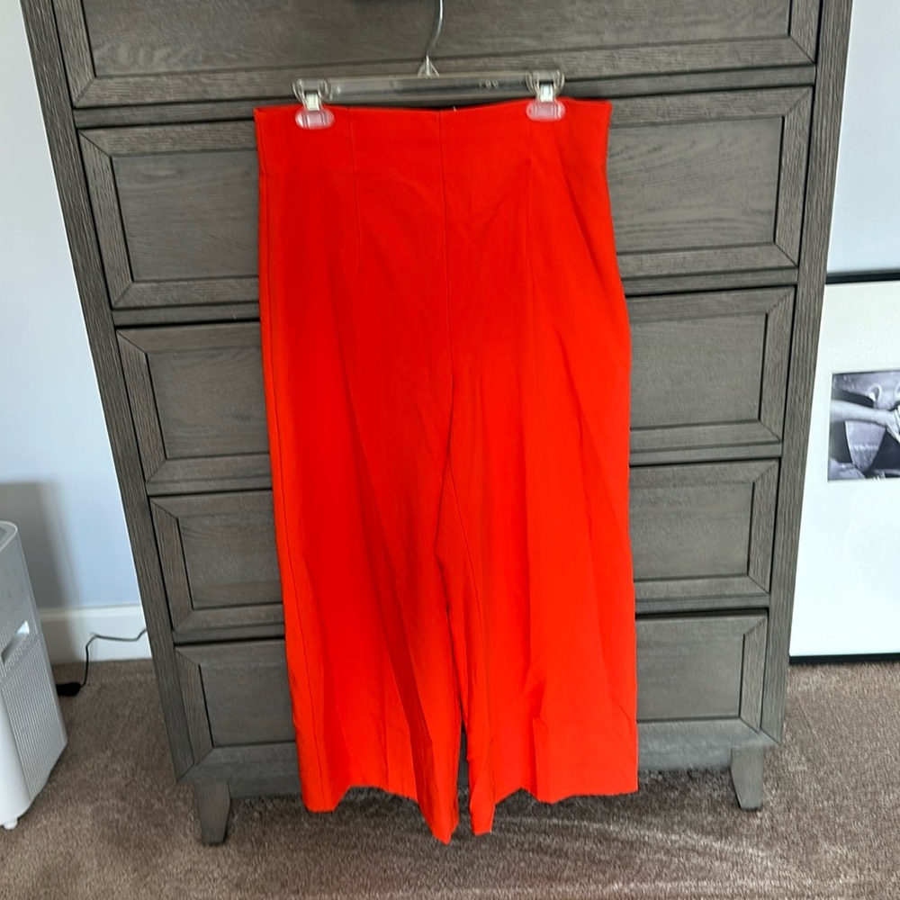 Zara pants